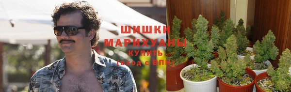 кокаин колумбия Магас
