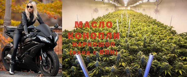 крисы Медногорск