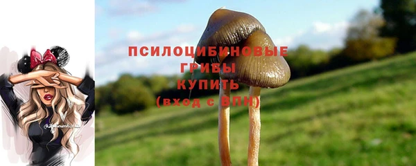 крисы Медногорск