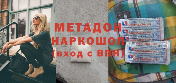 прущие грибы Алагир