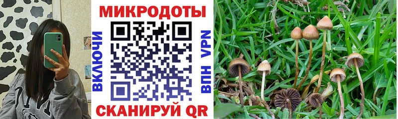Галлюциногенные грибы Cubensis  Фатеж 